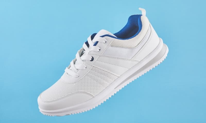 Monsoon Aquarium Care Tips for Mumbai & Thane Fish Keepers